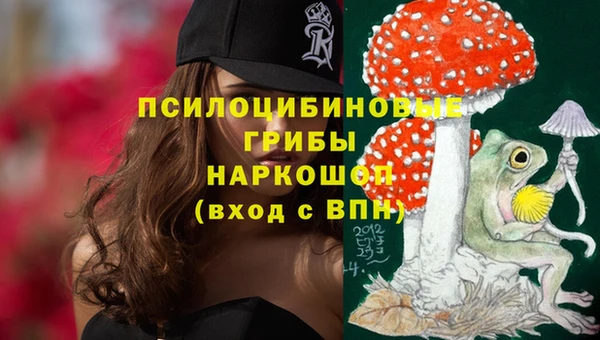 СК Богданович