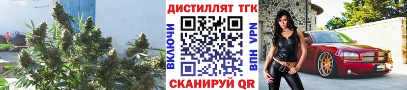 ТГК гашишное масло  darknet формула  Вилюйск  закладки 